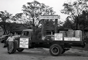 Turpentine Industry in Alabama - Encyclopedia of Alabama