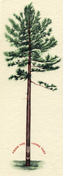 ATFA stationary tree